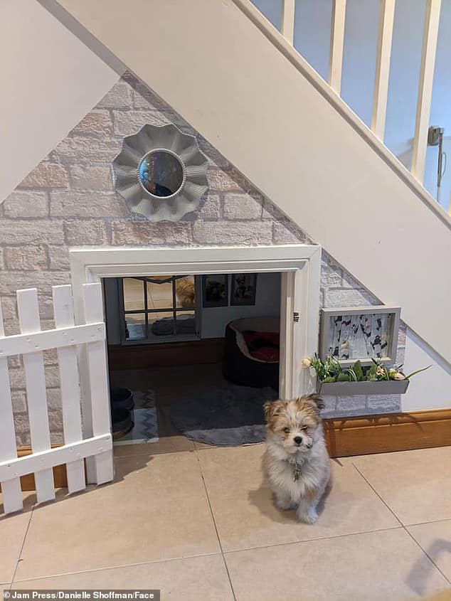 indoor under stairs